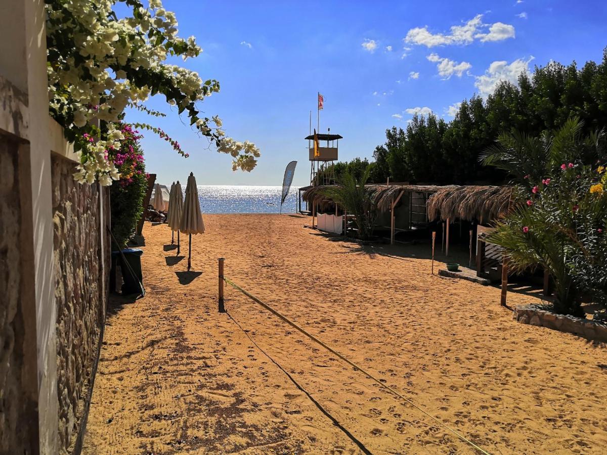 فيلا The Wind Farm دهب المظهر الخارجي الصورة